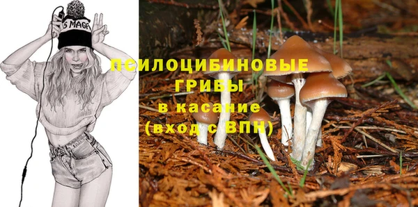 MDMA Premium VHQ Козловка