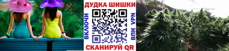 купить наркотики цена  Сковородино  Канабис LSD WEED 